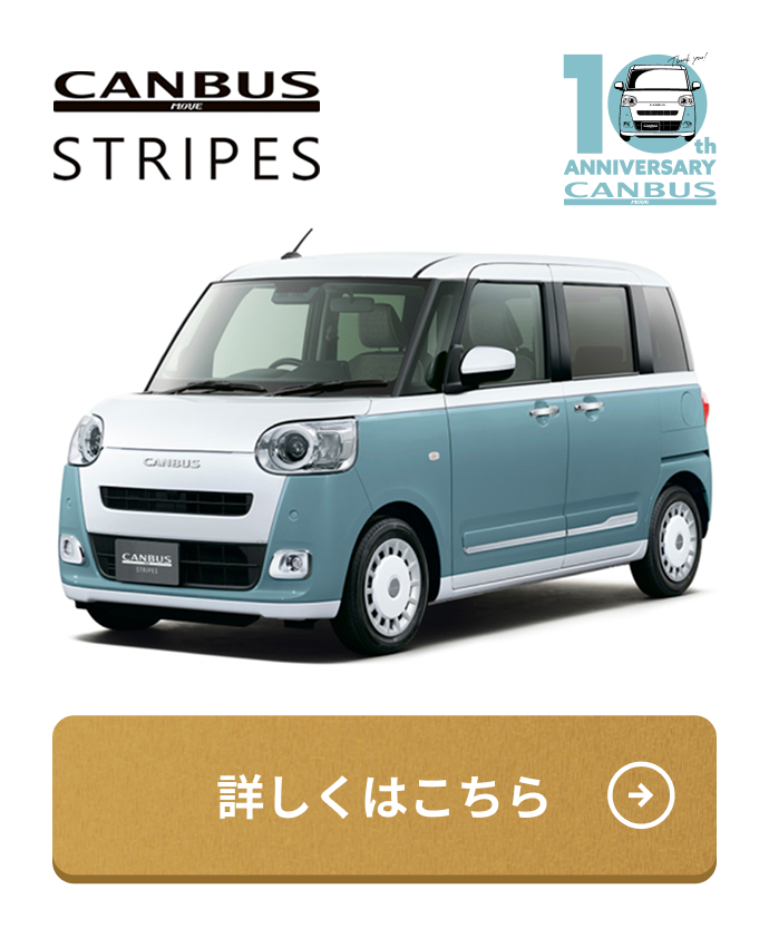 CANBUS STRIPES